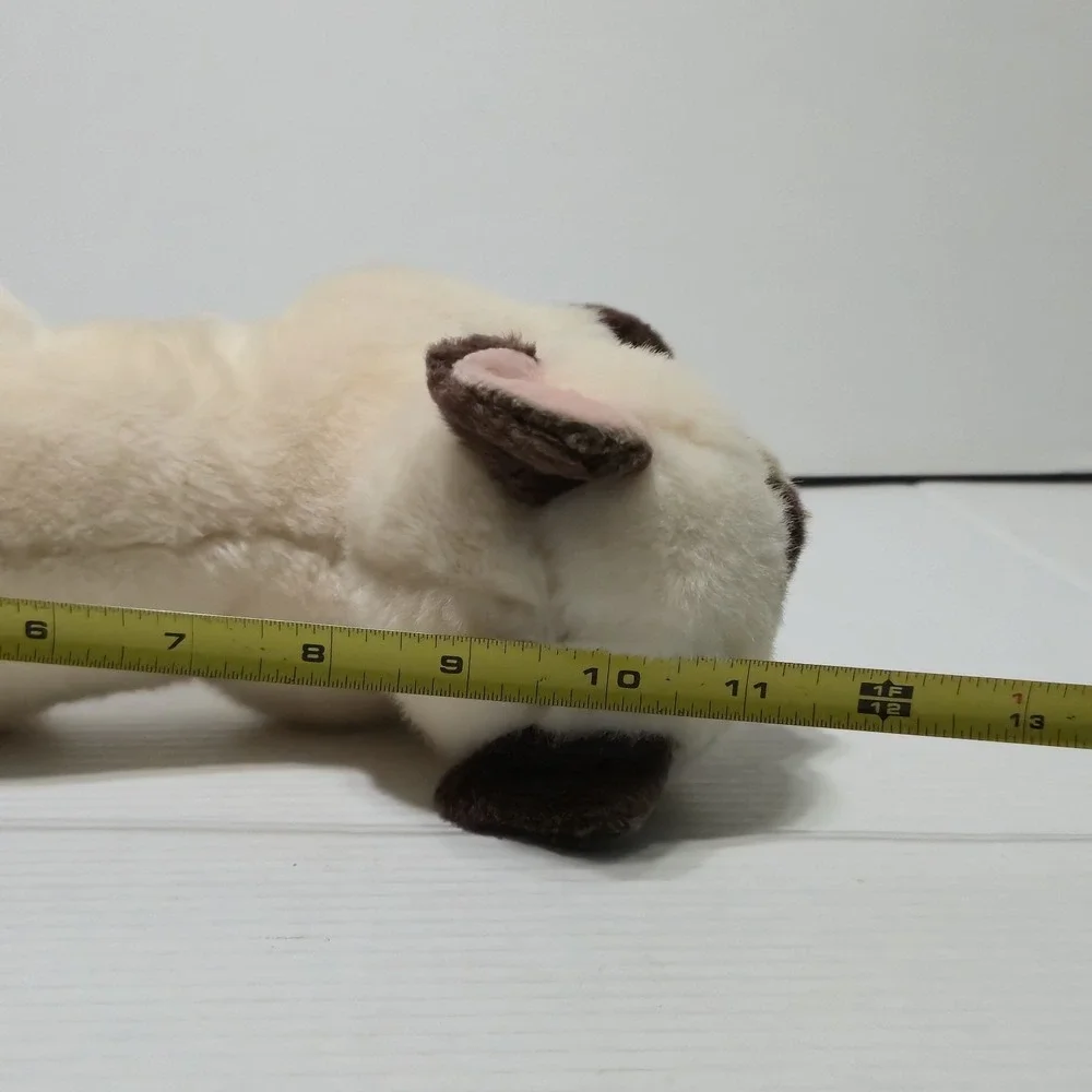 Aurora miyoni siamese